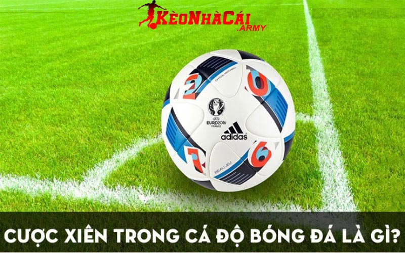 1 cuoc xien la gi trong bong da Cược xiên là gì trong bóng đá?